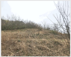  2025Ÿ��863 �泲 ���걺 ������ �꼺�� 86-1      ����(��)���