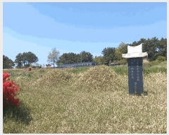  2025Ÿ��1017 �泲 ���ɽ� ������ ��⸮ 622-2      ����(��1)���