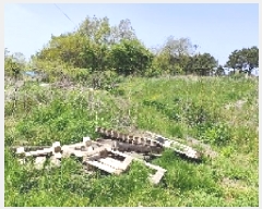  2025Ÿ��1017 �泲 ���ɽ� ������ ��⸮ 622-2      ����(��1)���