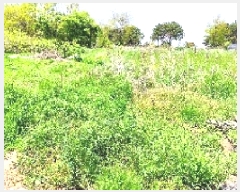  2025Ÿ��1017 �泲 ���ɽ� ������ ��⸮ 622-2      ����(��1)���