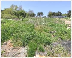  2025Ÿ��1017 �泲 ���ɽ� ������ ��⸮ 622-2      ����(��1)���