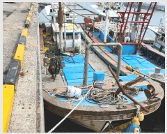  2025Ÿ��1018 ��������          ���ڰ��