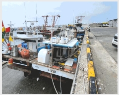  2025Ÿ��1018 ��������          ���ڰ��