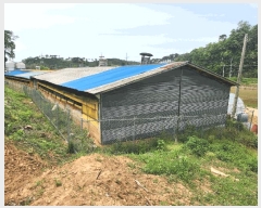  2025Ÿ��1021 �泲 ȫ���� ���ϸ� ���Ǹ� 150-1      ���(�󰡽ü�)���