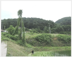  2025Ÿ��1060  ����