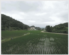  2025Ÿ��1060  ����