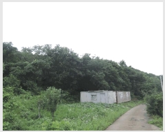  2025Ÿ��1086 �泲 ���ɽ� ȭ�굿 ��105-16       ����(�Ӿ�)���