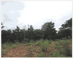  2025Ÿ��1086 �泲 ���ɽ� ȭ�굿 ��105-16       ����(�Ӿ�)���