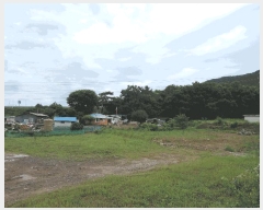  2025Ÿ��1086 �泲 ���ɽ� ȭ�굿 ��105-16       ����(�Ӿ�)���