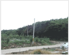  2025Ÿ��1086 �泲 ���ɽ� ȭ�굿 ��105-16       ����(�Ӿ�)���