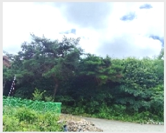  2025Ÿ��1086 �泲 ���ɽ� ȭ�굿 ��105-16       ����(�Ӿ�)���