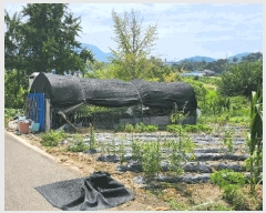  2025Ÿ��1111 �泲 ȫ���� �ݸ��� ���� 592      ����(��1)���