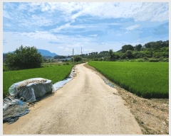  2025Ÿ��1111 �泲 ȫ���� �ݸ��� ���� 592      ����(��1)���