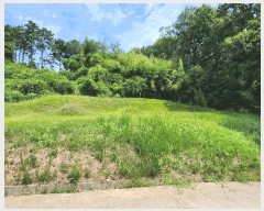  2025Ÿ��1111 �泲 ȫ���� �ݸ��� ���� 592      ����(��1)���