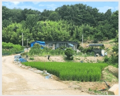  2025Ÿ��1111 �泲 ȫ���� �ݸ��� ���� 592      ����(��1)���