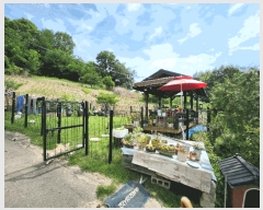  2025Ÿ��1111 �泲 ȫ���� �ݸ��� ���� 592      ����(��1)���