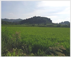  2025Ÿ��1125 �泲 ���걺 ������ ������ 68-17      ����(��)���