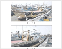  2025Ÿ1139 õ          ڰ