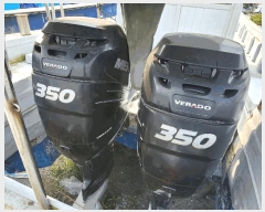  2025Ÿ��1205 ������          ���ڰ��