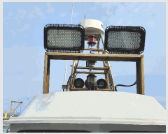  2025Ÿ��1205 ������          ���ڰ��