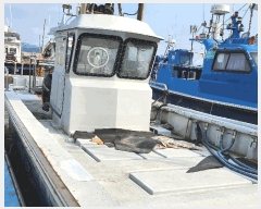  2025Ÿ��1205 ������          ���ڰ��