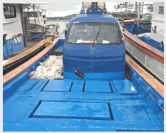  2025Ÿ��1218 ��������          ���ڰ��