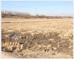  2025Ÿ15407 泲 걺 žϸ ߿ 6-4      ()