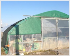  2025Ÿ15407 泲 걺 žϸ ߿ 6-4      ()