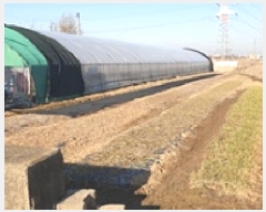  2025Ÿ15407 泲 걺 žϸ ߿ 6-4      ()