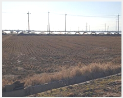  2025Ÿ15407 泲 걺 žϸ ߿ 6-4      ()