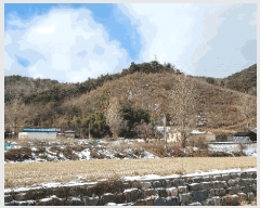  2025Ÿ15506 泲 ɽ û 踮 31-10      (Ӿ)