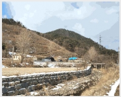  2025Ÿ15506 泲 ɽ û 踮 31-10      (Ӿ)