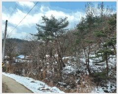  2025Ÿ15506 泲 ɽ û 踮 31-10      (Ӿ)