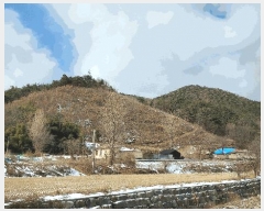  2025Ÿ15506 泲 ɽ û 踮 31-10      (Ӿ)