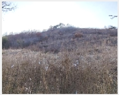  2025Ÿ15506 泲 ɽ û 踮 31-10      (Ӿ)