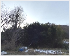  2025Ÿ15506 泲 ɽ û 踮 31-10      (Ӿ)