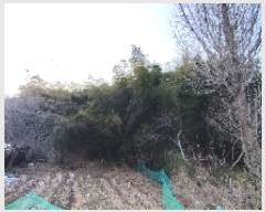  2025Ÿ15506 泲 ɽ û 踮 31-10      (Ӿ)