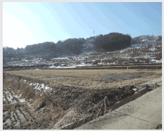  2025Ÿ15520 泲 õ  ȴ縮 47-6      ()