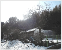  2025Ÿ15520 泲 õ  ȴ縮 47-6      ()