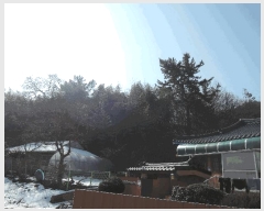  2025Ÿ15520 泲 õ  ȴ縮 47-6      ()