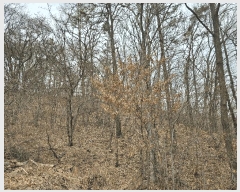  2025Ÿ15541 泲 걺  缮 352-1      (Ӿ)