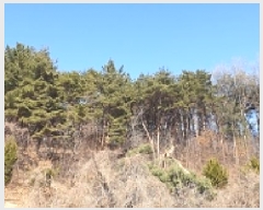  2025Ÿ15541 泲 걺  缮 352-1      (Ӿ)