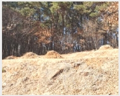  2025Ÿ15541 泲 걺  缮 352-1      (Ӿ)