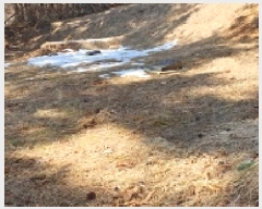  2025Ÿ15541 泲 걺  缮 352-1      (Ӿ)