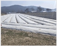  2025Ÿ15556 泲 ȫ  žȸ 14-9      (Ӿ)