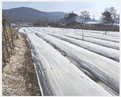  2025Ÿ15556 泲 ȫ  žȸ 14-9      (Ӿ)