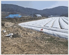  2025Ÿ15556 泲 ȫ  žȸ 14-9      (Ӿ)