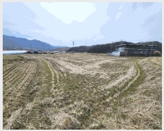  2025Ÿ15571 泲 ɽ û  161-2      ()