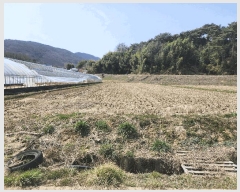  2025Ÿ15592 泲 ȫ  ǳ 26-34      (Ӿ)