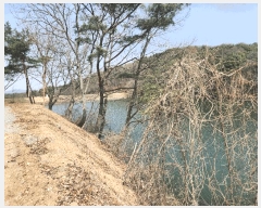  2025Ÿ15592 泲 ȫ  ǳ 26-34      (Ӿ)